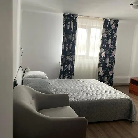게스트하우스 Pensiunea Casa Eden